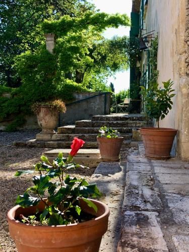 Outdoor Pictures 21