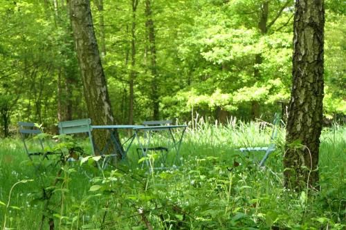 Outdoor Pictures 11
