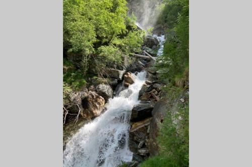 Outdoor Pictures 15