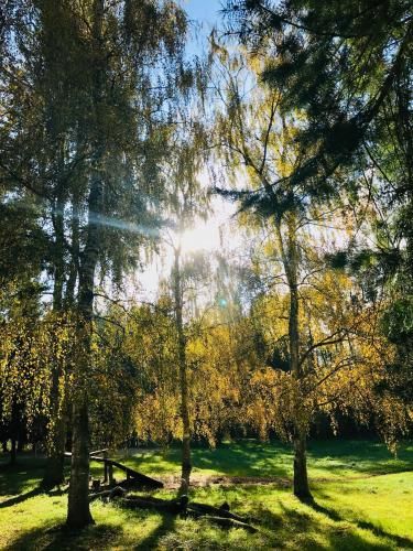 Outdoor Pictures 6