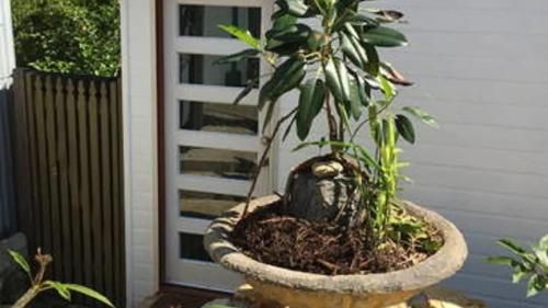 Outdoor Pictures 7