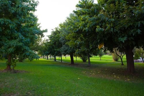 Outdoor Pictures 14