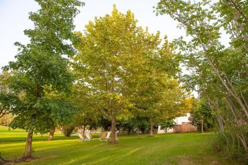 Outdoor Pictures 15