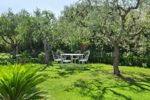Outdoor Pictures 20