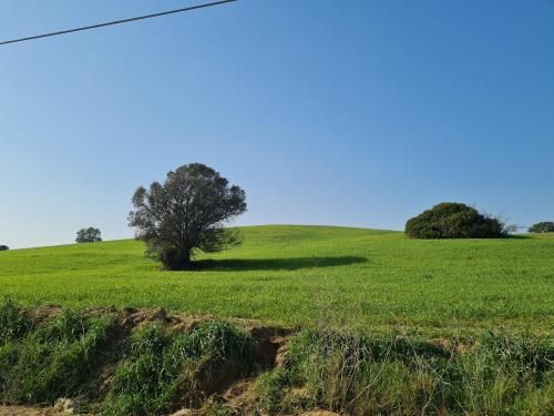 Outdoor Pictures 12