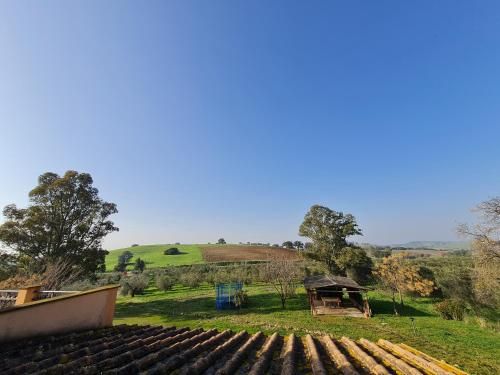 Outdoor Pictures 24