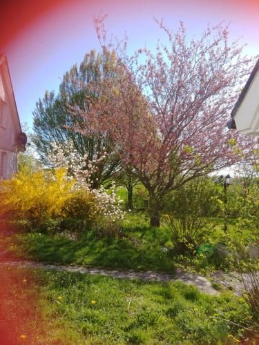 Outdoor Pictures 12