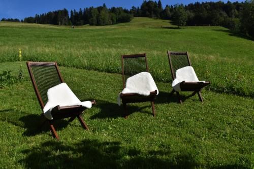 Outdoor Pictures 20