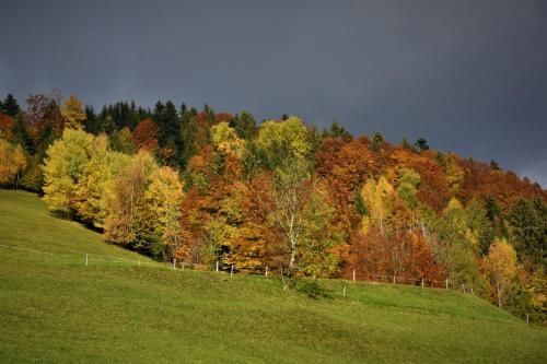 Outdoor Pictures 24