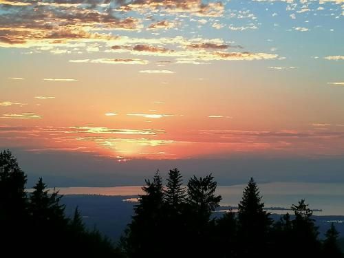 Outdoor Pictures 11