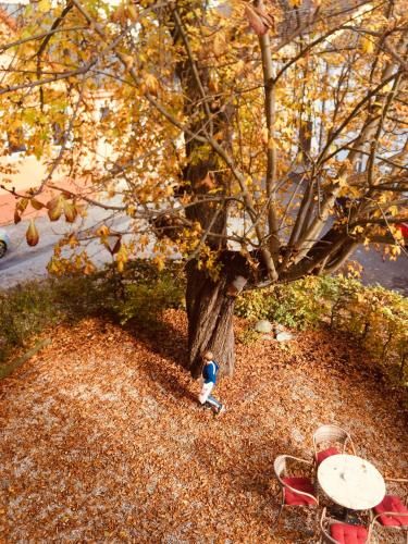 Outdoor Pictures 21