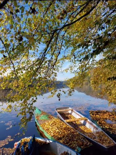 Outdoor Pictures 21
