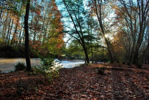 Outdoor Pictures 9