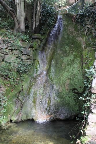 Outdoor Pictures 21