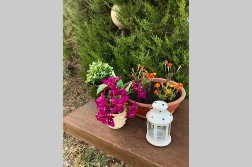 Outdoor Pictures 3