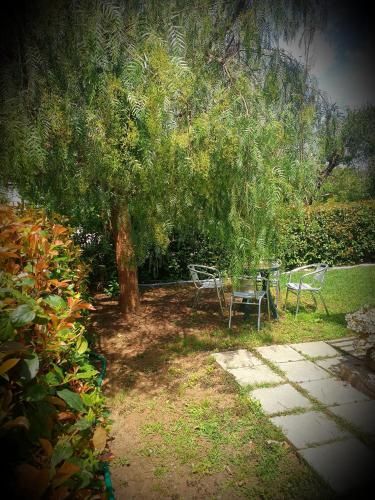 Outdoor Pictures 7