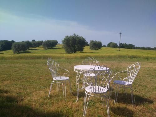 Outdoor Pictures 3