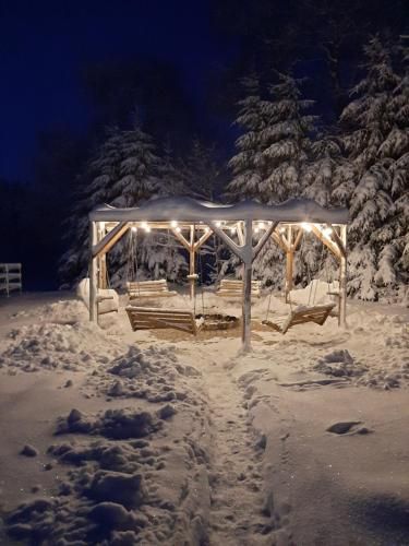 Outdoor Pictures 7