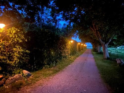 Outdoor Pictures 10