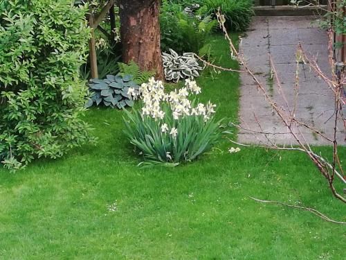 Outdoor Pictures 6