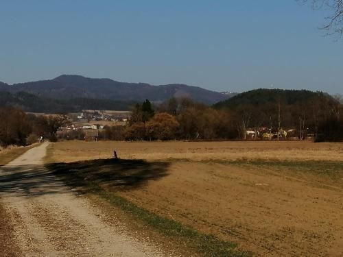 Outdoor Pictures 12