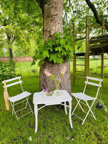 Outdoor Pictures 15