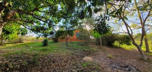 Outdoor Pictures 22