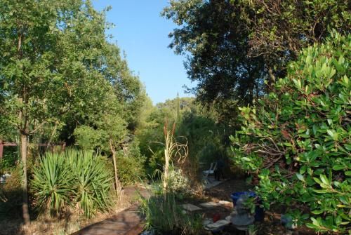 Outdoor Pictures 5
