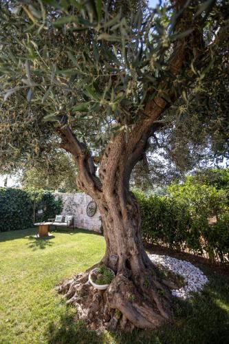 Outdoor Pictures 21