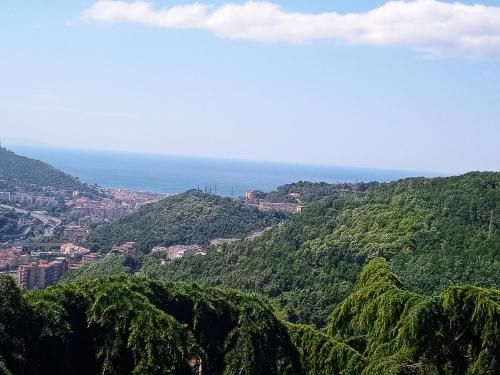 Collina Belvedere, mansarda 6 persone in Capezzano