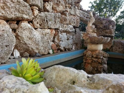 Outdoor Pictures 11