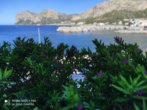 Outdoor Pictures 23