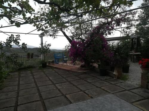 Outdoor Pictures 12