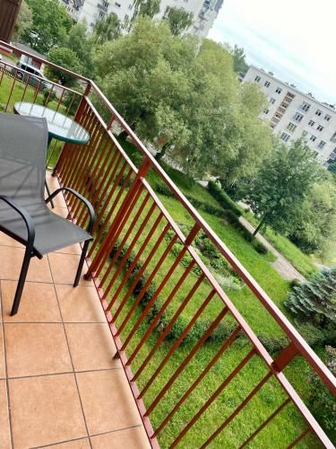Outdoor Pictures 11