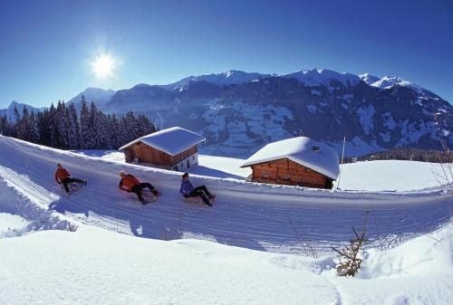 Outdoor Pictures 7