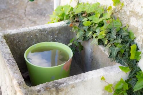Outdoor Pictures 21