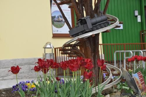 Outdoor Pictures 15