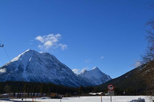 Outdoor Pictures 16