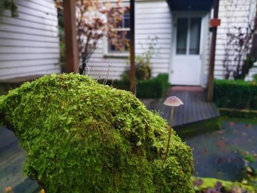 Outdoor Pictures 4