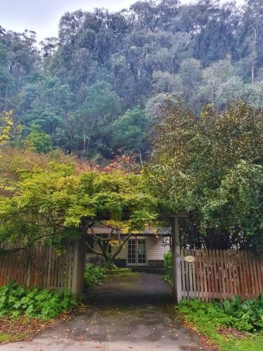 Outdoor Pictures 7