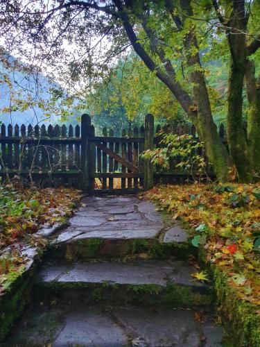 Outdoor Pictures 8