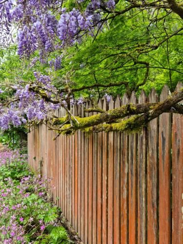 Outdoor Pictures 22