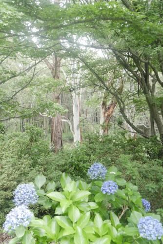 Outdoor Pictures 15