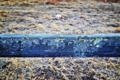 Outdoor Pictures 12