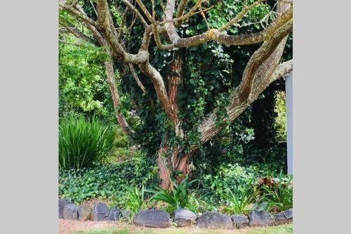 Outdoor Pictures 15