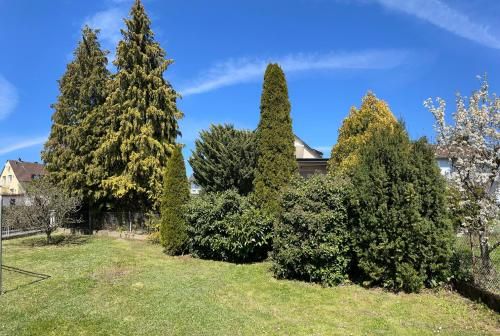 Outdoor Pictures 17