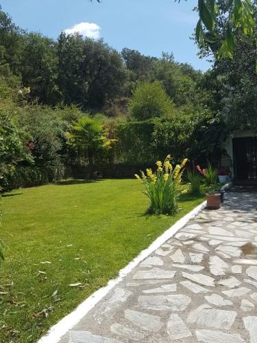 Outdoor Pictures 9