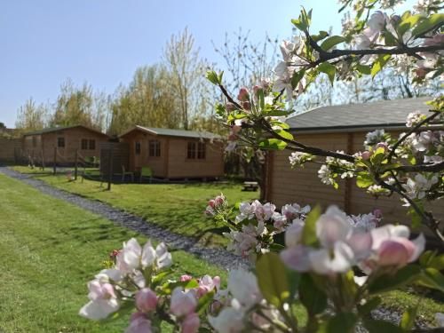 Les chalets du Fliers Location de vacances à la Mer - en Chalets BERCK SUR MER