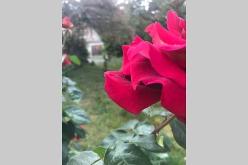 Outdoor Pictures 20