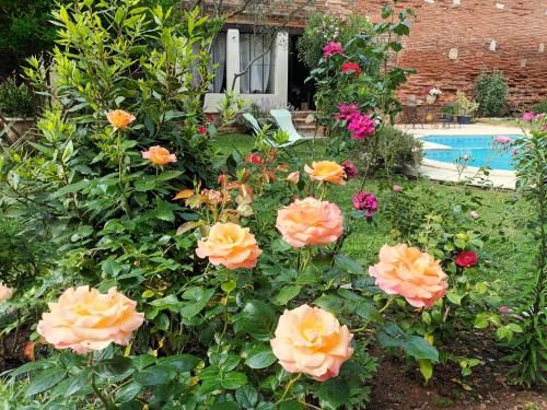 Outdoor Pictures 23
